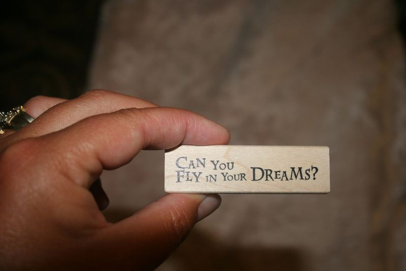 Can You Fly in Your Dreams?