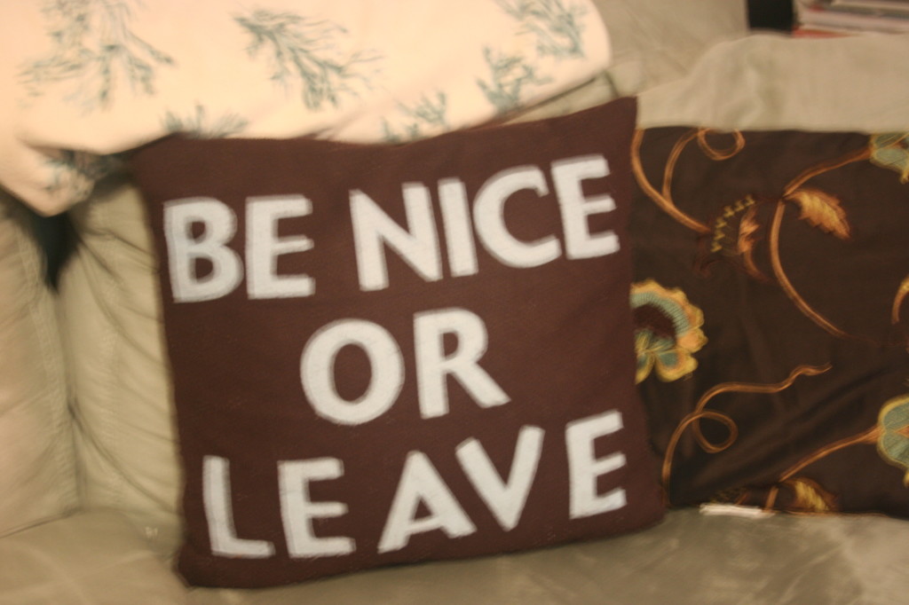 Be-Nice-or-Leave-Pillows