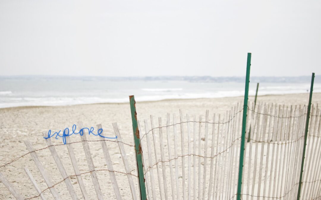 Tenacity, Faith, and Online Classes