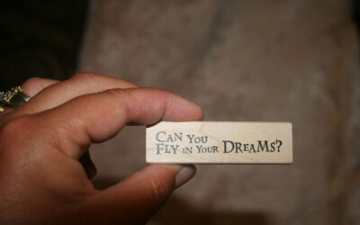 Can You Fly in Your Dreams?